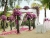 wedding11