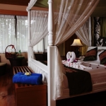 bung-int-4 bung-int-4