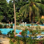 pool-vit-tree pool-vit-tree