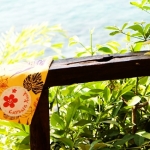 gall_b_15