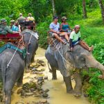 eco-adventure-nature-tour