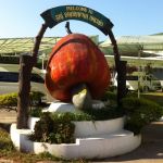 cashew-nut-factory-phuket