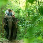 river_kwai_jungle_rafts_resort_elephant_ride46