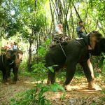 river_kwai_jungle_rafts_resort_elephant_ride48