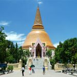 pathomchedi17747l
