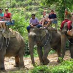 elephant-trekking-krabi