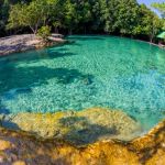 emerald-pool-is-unseen-pool-in-mangrove-forest-at-krab-1024x682
