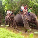 huaythosafari_slide_01