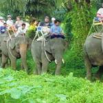 huaythosafari_slide_04