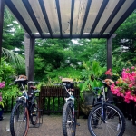 bicycling bicycling