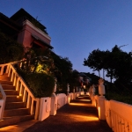 chilling-at-night-by-the-pathway chilling-at-night-by-the-pathway