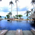 peace-of-mind-at-the-main-pool peace-of-mind-at-the-main-pool