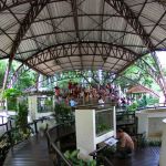 bangkok-red-cross-snake-farm