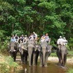 khao_sok_safari_tour_20_1