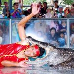 crocodile-farm4