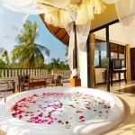 platinum-suite-4