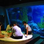 siam-ocean-world-bangkok-1