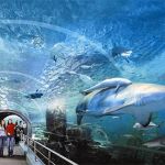 siam-ocean-world-in-bangkok