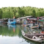 4766699-ban_salak_kok_mangrove_channel_ko_chang 4766699-ban_salak_kok_mangrove_channel_ko_chang