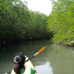 51923d104955eontdek-koh-chang-16 51923d104955eontdek-koh-chang-16