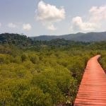 salakphet06-540x400 salakphet06-540x400