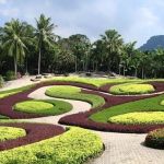 nong-nooch-tropical-garden-o46
