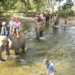 elephant-riding-additional-program-river-kwai-elephant-trek