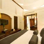 deluxe-jacuzzi-room01