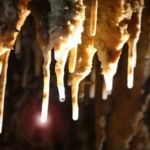 tham_phung_chang-l