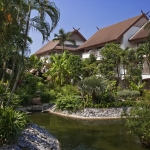 2010-garden-waterfall-1-lr