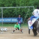 elephant-football