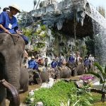 samphran-elephant-ground-zoo