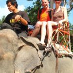 545ab9elephant_1506-940x360