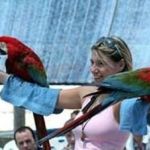 20289-1298980856pkocb6seha