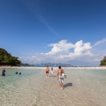 activity_dec-2013_028