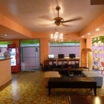 65447_13031118060010771678_std