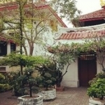 65447_14051613240019449979_std