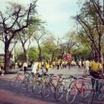 65447_14051613240019449982_std