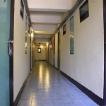 97003_13110511000017323780_800x600