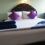 52170_13110710580017343085_800x600