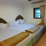 84517_14071817470020348083_800x600