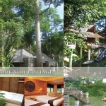 sunsetparkresortandspa_p16_0