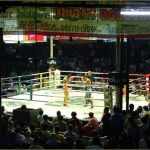 news_other-20150122-153246-1