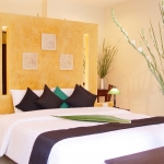 private-jacuzzi-sino-wing private-jacuzzi-sino-wing