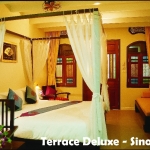 terrace-deluxe-sino-wing terrace-deluxe-sino-wing