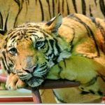 20130528134900_dsc4996