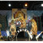 3315534_20130419010942