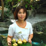 hot-spring-krabi-mini-coconut hot-spring-krabi-mini-coconut