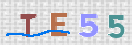 Kontrolní text