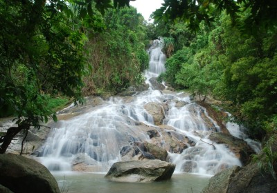 Living Thailand Safari